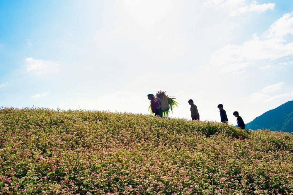 Trekking Tour Bac Ha Vietnam 6 Days
